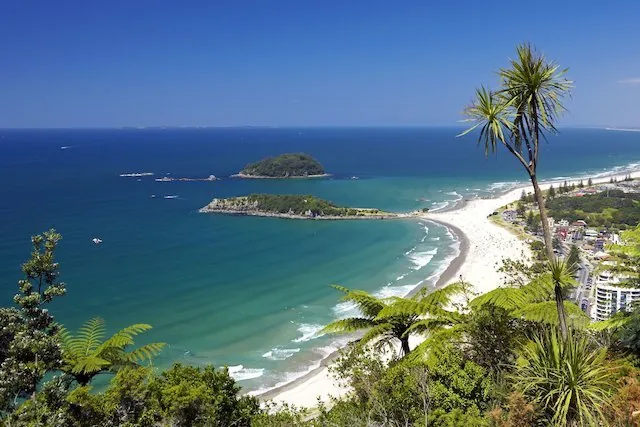 Live in the Bay of Plenty